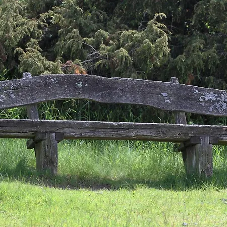 Heideblick
