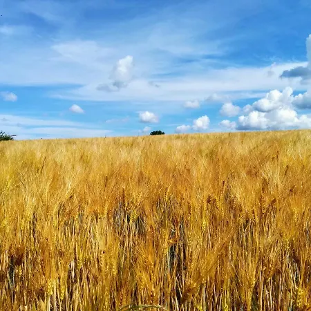 Apartment Heideblick Volkesfeld