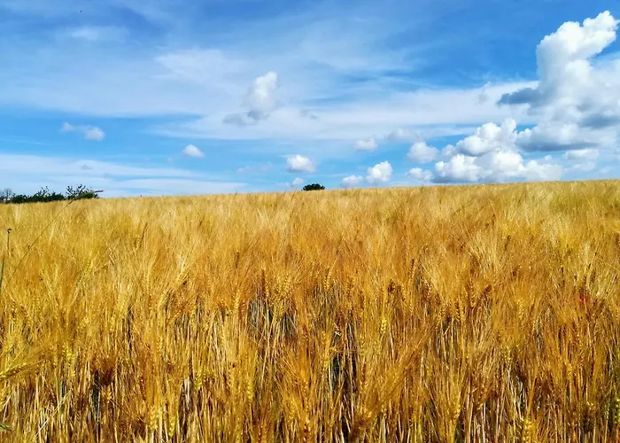 דירה Heideblick Volkesfeld
